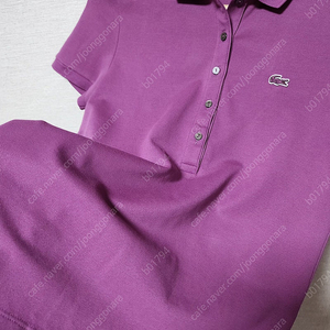 lacoste 라코스테 자주색 카라티 피케셔츠