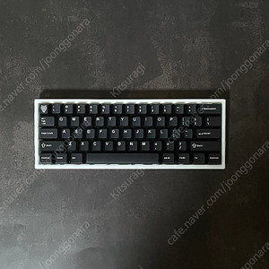 3D홀리 베놈HE venom60he 완제품