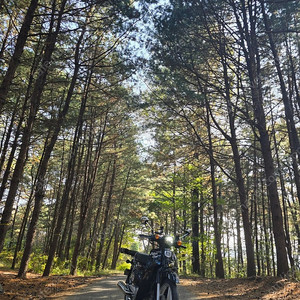 1대주 3무 저키로수 23년슈퍼커브 블랙 220 만 판매