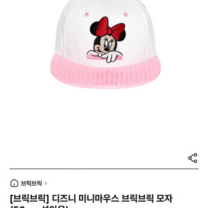 디즈니 브릭브릭 모자