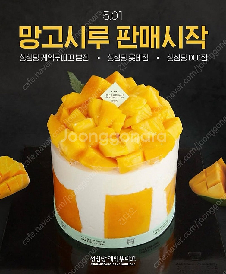 [내역 800건 이상] 성심당 망고시루 튀소등 각종 빵...--0