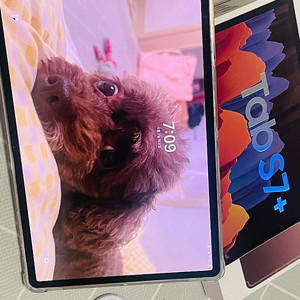 갤럭시탭 S7플러스(S7+) 256GB
