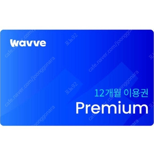 웨이브 프리미엄 12개월 이용권-직접 핀등록