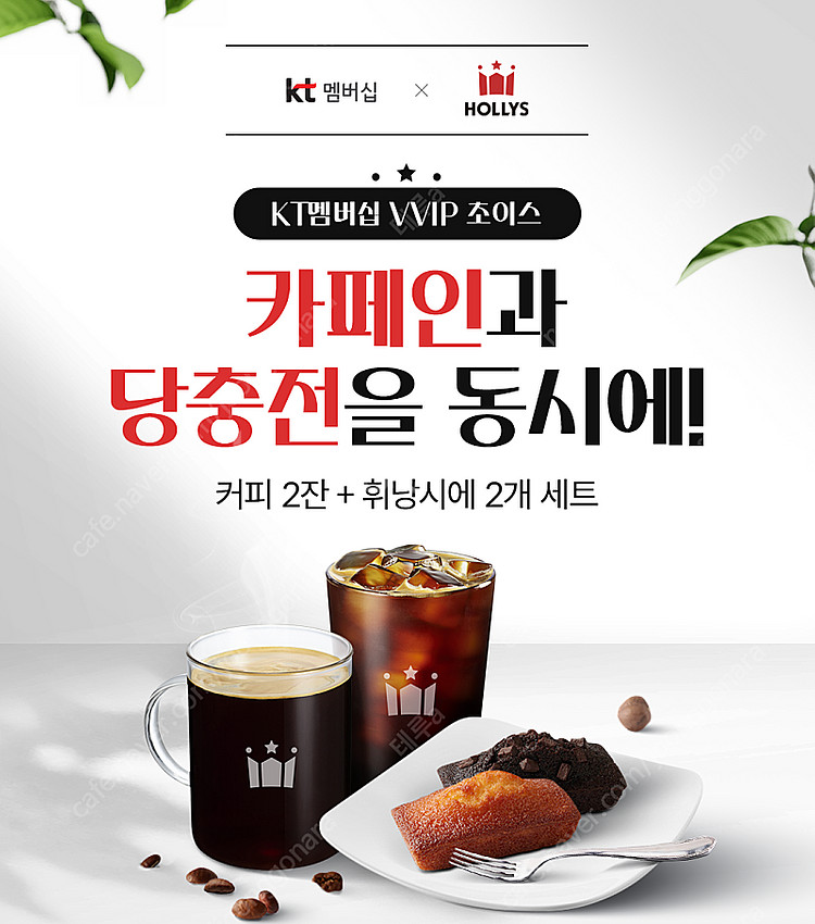 할리스 아메리카노 2잔 + 휘낭시에 2개 세트 쿠폰 판...--0