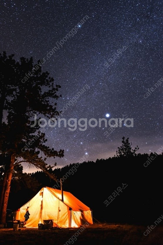 동해바다 근처 캠핑장 6일 - 8일 양도 해주실분 있을...--0