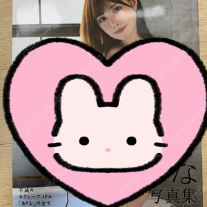 AV배우 사진집