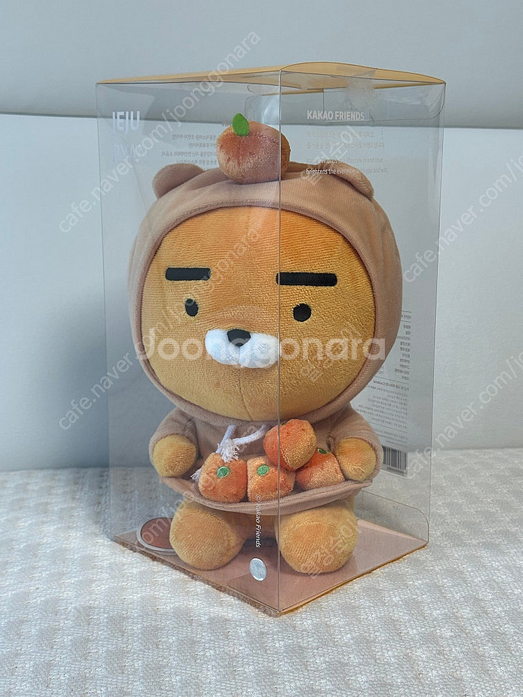 카카오프렌즈 제주감귤 라이언 인형--0