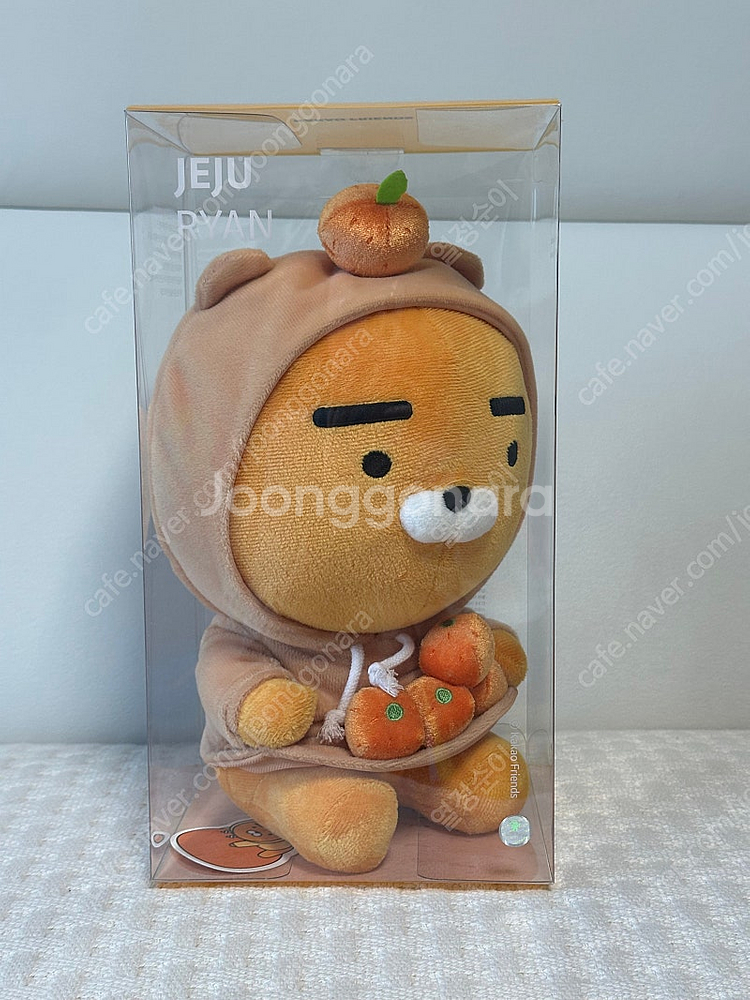 카카오프렌즈 제주감귤 라이언 인형--1