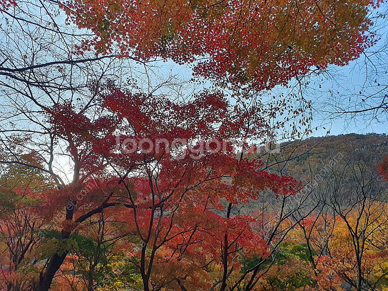 쿠팡 기프트 카드 (90%)삽니다.(선만받음)(500만...--0