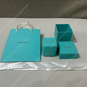 티파니앤코 프로포즈 메리미 민트박스 반지 케이스