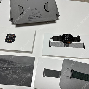 애플워치 울트라2 블랙 티타늄 애플케어플러스 밀레니즈루프, 알파인루프