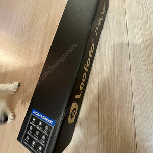 레오포토 Mr.Y 미스터와이 LY-224C+LH-25R 카본 삼각대 블랙