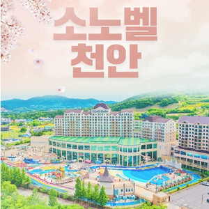 @6월 현충일~소노벨천안 비발디파크~변산/거제 쏠비치 삼척 진도 양양~단양 올인클루시브3인~소노캄 여수(대명리조트 호텔~리조트)