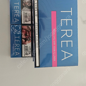 테리아블루