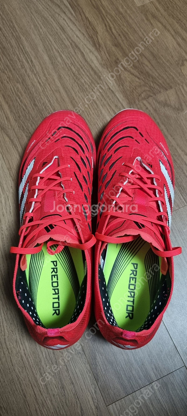 프레데터 25 엘리트 2g3g 270mm--0