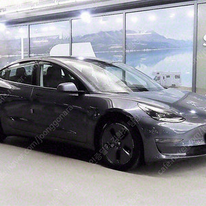 모델3중고 테슬라 중고차 2021년식 48,561km 롱 레인지 중고차카페