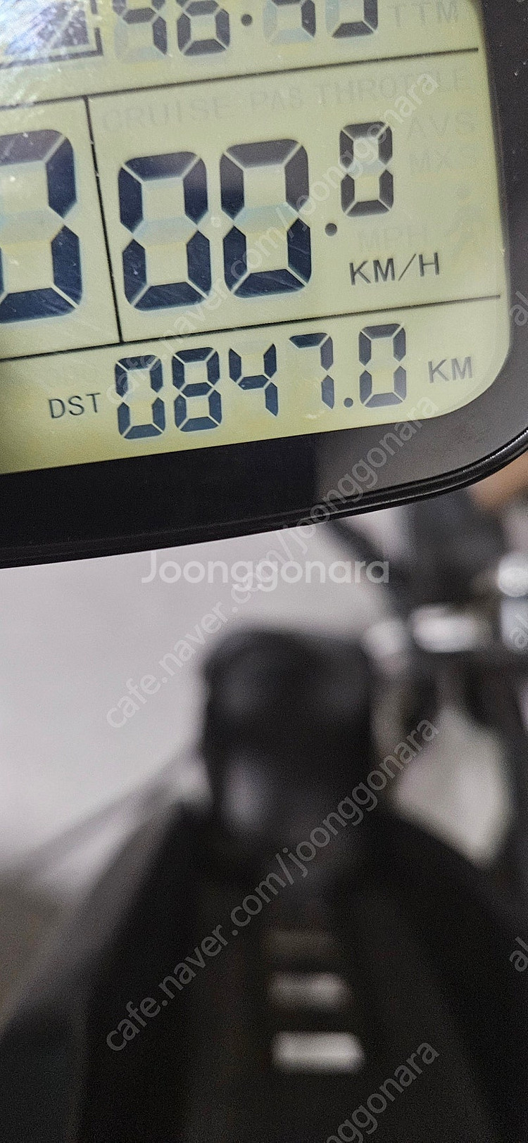 알렉시카 델타3+--1
