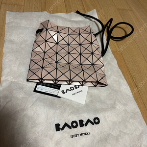 바오바오 링백 Baobao wring bag 베이지