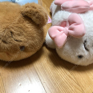 미코 캐릭터즈 35cm 라잉