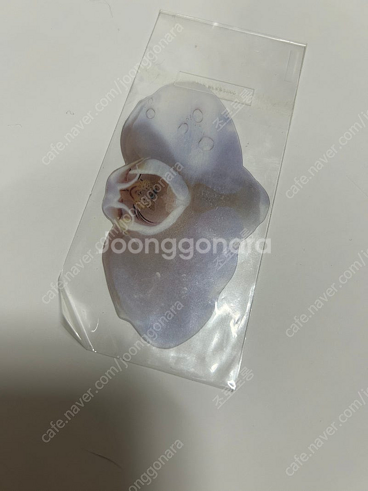 옥토 책갈피 호접란--0