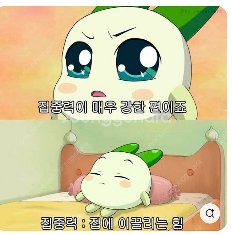 창원SUPER 수요콘서트 유다빈밴드X한로로 티켓 삽니다--0