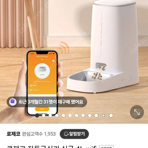 로제코 자동급식기 새상품