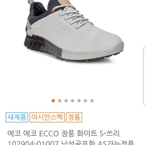 Ecco 남성 골프화