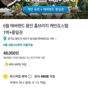 에버랜드 홈브리지 1박2일 패키지 (6/8)