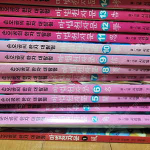 마법천자문 17권