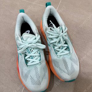 아식스 노바블라스트 5 수딩씨 250 팝니다