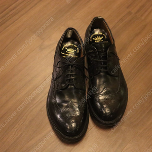 Creative officine 크리아티베 오피치네 077 아나토미아