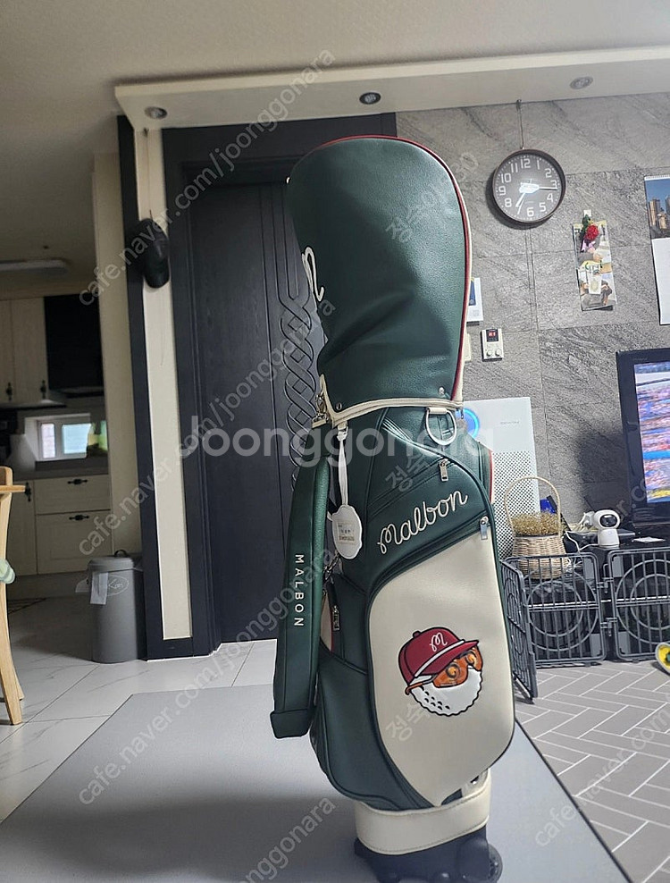 젝시오 MP1300L 여성 골프채 풀세트--0