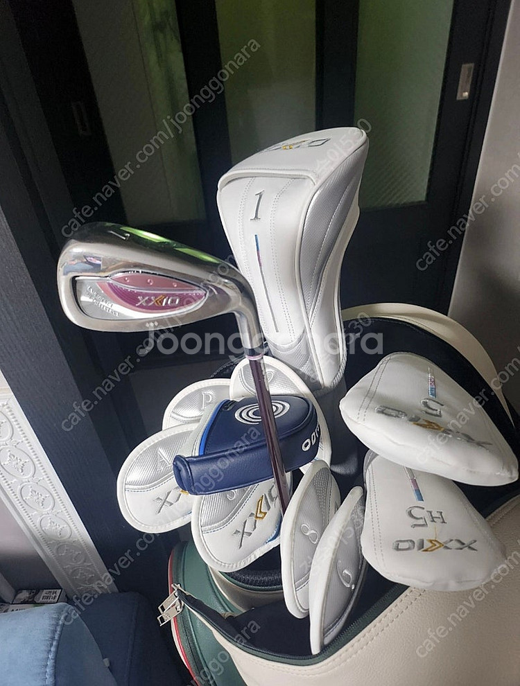 젝시오 MP1300L 여성 골프채 풀세트--6