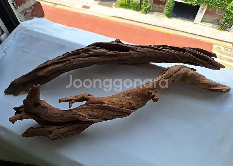 기다란 부세 유목 3개 새트 판매, 열대어 모스 유목--0