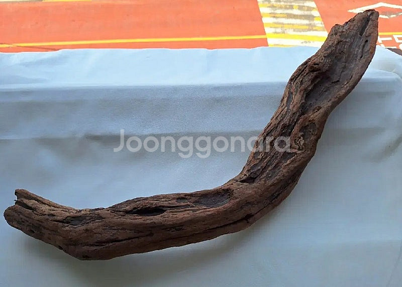 기다란 부세 유목 3개 새트 판매, 열대어 모스 유목--1