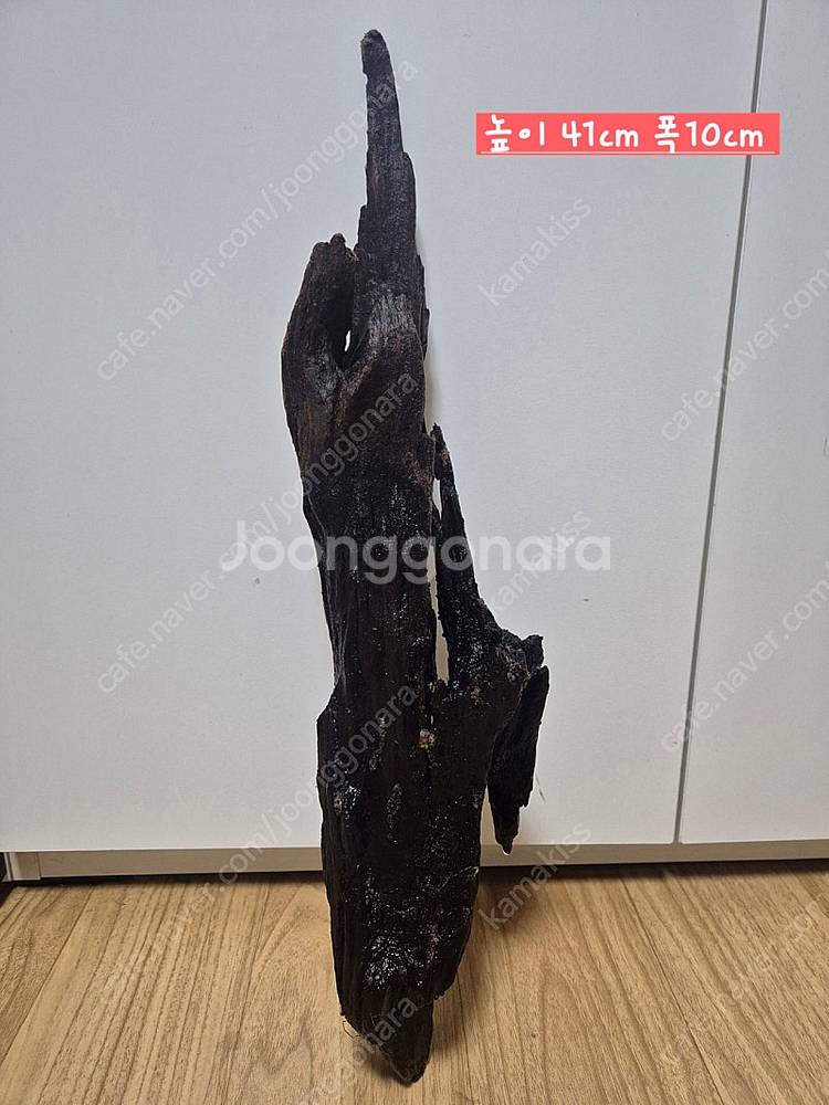 유목 분양합니디.--0