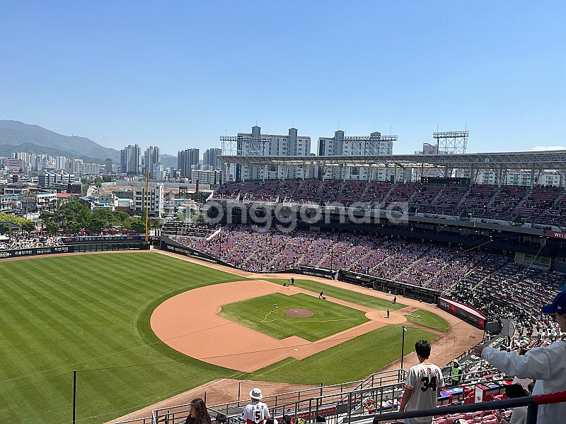 6월 6일 한화 vs 기아 4연석 양도합니다(ev1루)--0