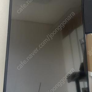 LG 49인치 샤이니지 모니터 49SE3DD-B