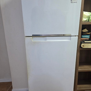 삼성 냉장고 255L 2도어