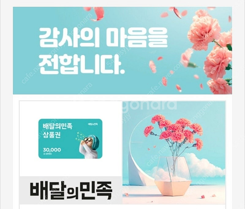 [배달의민족] 모바일상품권 3만원--0