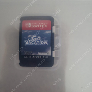 닌텐도 스위치 Go Vacation칩