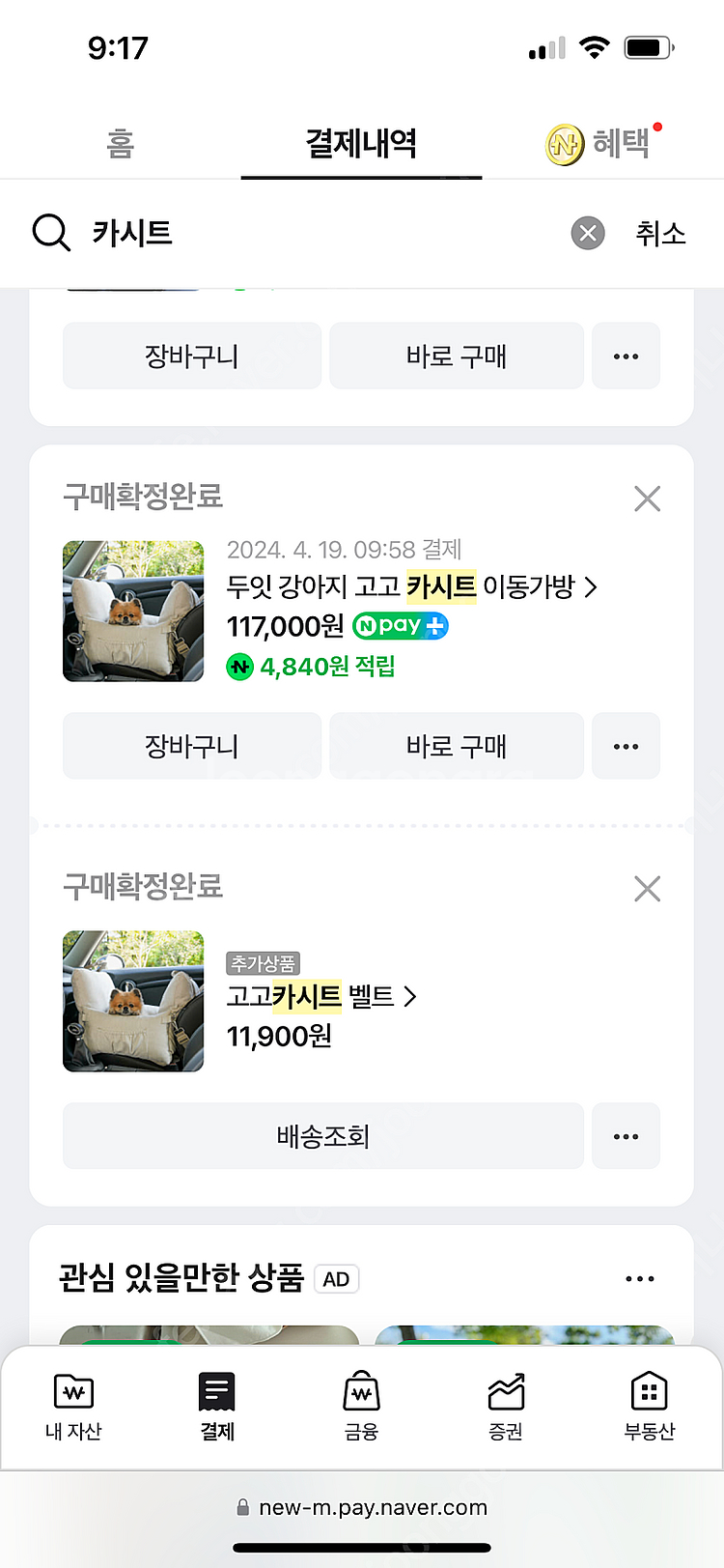 두잇 고고 강아지 카시트 라지--1