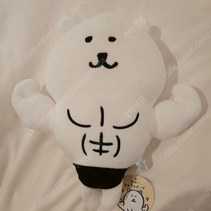 농담곰 근육곰 일본 인형 (신제품)