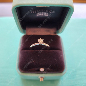 이번주만할인(정품)티파니앤코 6발 프롱세팅 웨딩링 0.25ct 8호