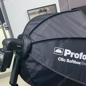 프로포토 clic softbox octa a10 a1x 용 + 맨프로토 1005bac 조명스탠드