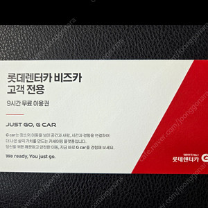 롯데렌트카 G카 9시간 전차종이용균