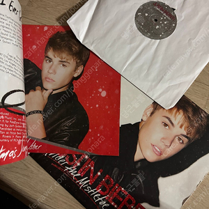 Justin Bieber 저스틴 비버 LP 앨범 VINYL 레코드 LP판 크리스마스 Under The Mistletoe