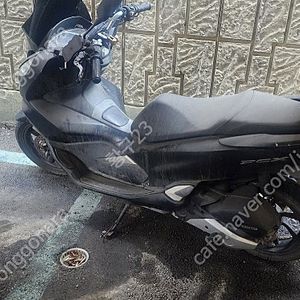 pcx125 20년식 11000~12000키로 팝니다