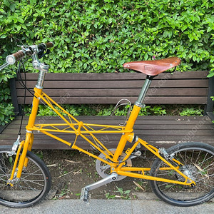 몰튼 TSR 9 Golden Yellow