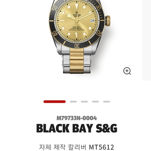 인하)튜더 블랙베이 s&g 골드 41mm 팝니다.